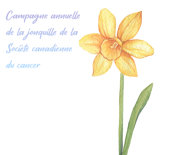 La campagne annuelle de la jonquille de la Société canadienne du cancer fait fleurir l'espoir grâce à l'innovation dans la recherche