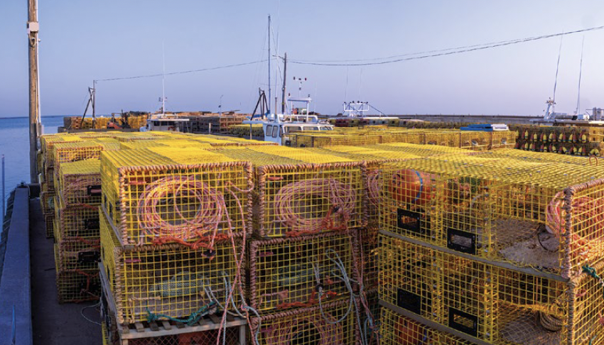 3. PÊCHEURS